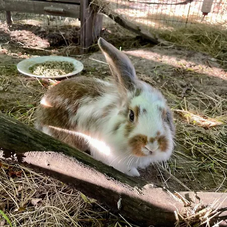 캠프장 Hestkaer Family Summer Camp *