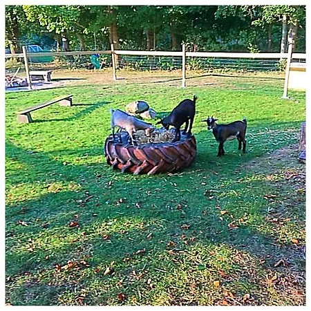 Hestkaer Family Summer Camp Kemping *