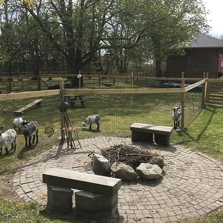 Hestkaer Family Summer Camp Campingplatz *