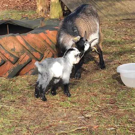 Hestkaer Family Summer Camp Krogager