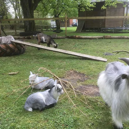 Hestkaer Family Summer Camp * Krogager