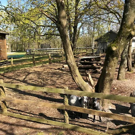 Hestkaer Family Summer Camp * Krogager