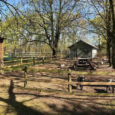 Hestkaer Family Summer Camp *