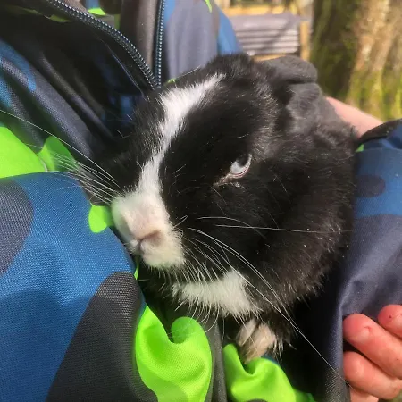 Hestkaer Family Summer Camp * Krogager