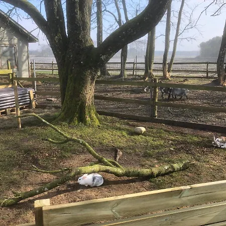 Hestkaer Family Summer Camp Krogager