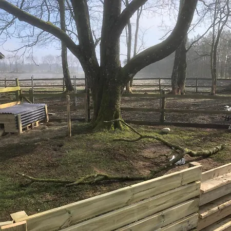 Hestkaer Family Summer Camp