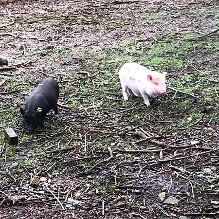 캠프장 Hestkaer Family Summer Camp Krogager