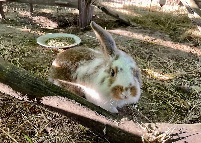 Campsite Hestkaer Family Summer Camp *