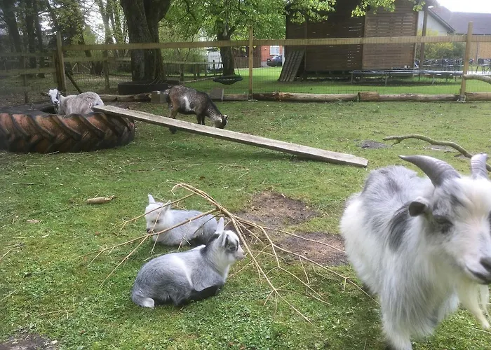 Hestkaer Family Summer Camp * Krogager