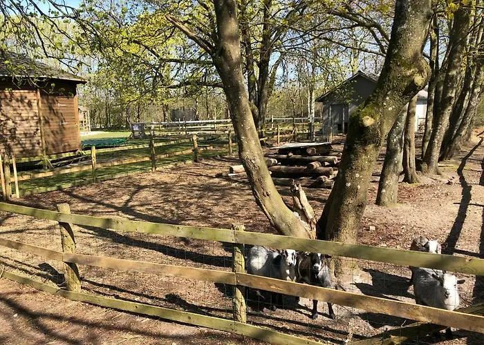 Hestkaer Family Summer Camp * Krogager