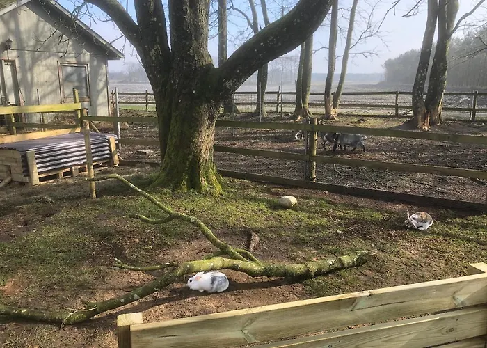 Hestkaer Family Summer Camp Krogager